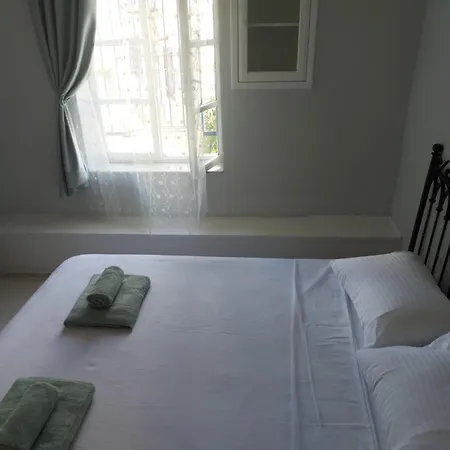 Homestay Mimosa House